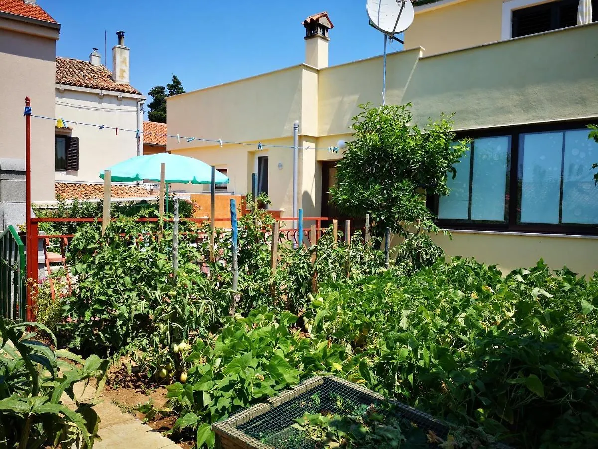 Apartment Zelina Mali Losinj